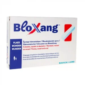 Bloxang – Lot de 10 unités.