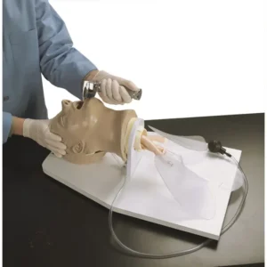 Tête d’intubation Adulte – Simulateur réaliste pour entraînement intubation endotrachéale