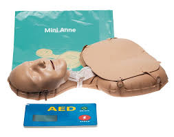 Kit d'auto-formation MINI ANNE – Mannequin portable pour apprentissage RCP individuel