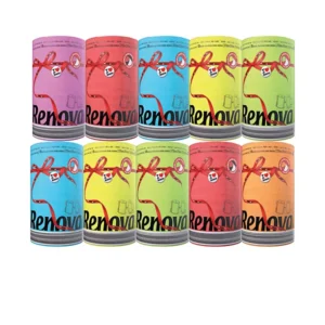 Essuie-tout – Lot de 5 colis, 10 rouleaux chacun, haute absorption