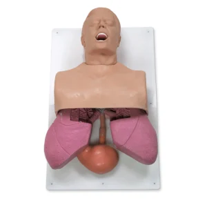 VOIES RESPIRATOIRE ADULTE SIMULAID
